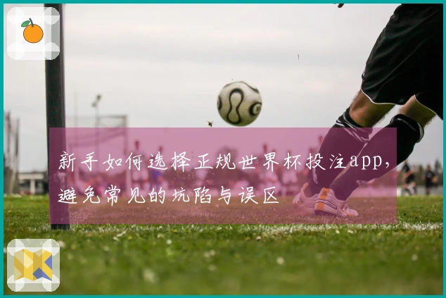 新手如何选择正规世界杯投注app，避免常见的坑陷与误区
