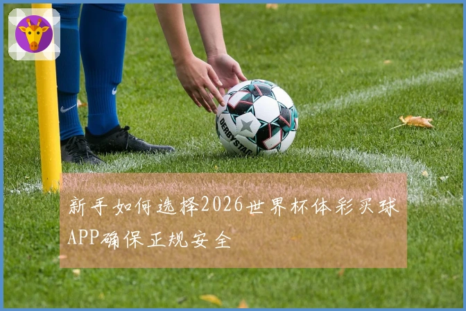 新手如何选择2026世界杯体彩买球APP确保正规安全