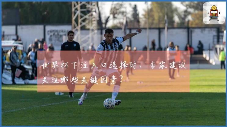 世界杯下注入口选择时，专家建议关注哪些关键因素？