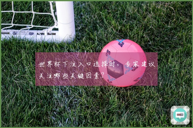 世界杯下注入口选择时,专家建议关注哪些关键因素?