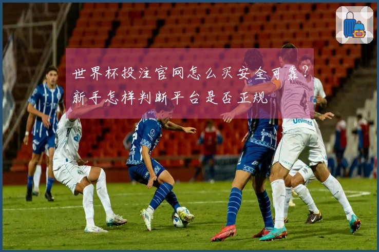 世界杯投注官网怎么买安全可靠？新手怎样判断平台是否正规